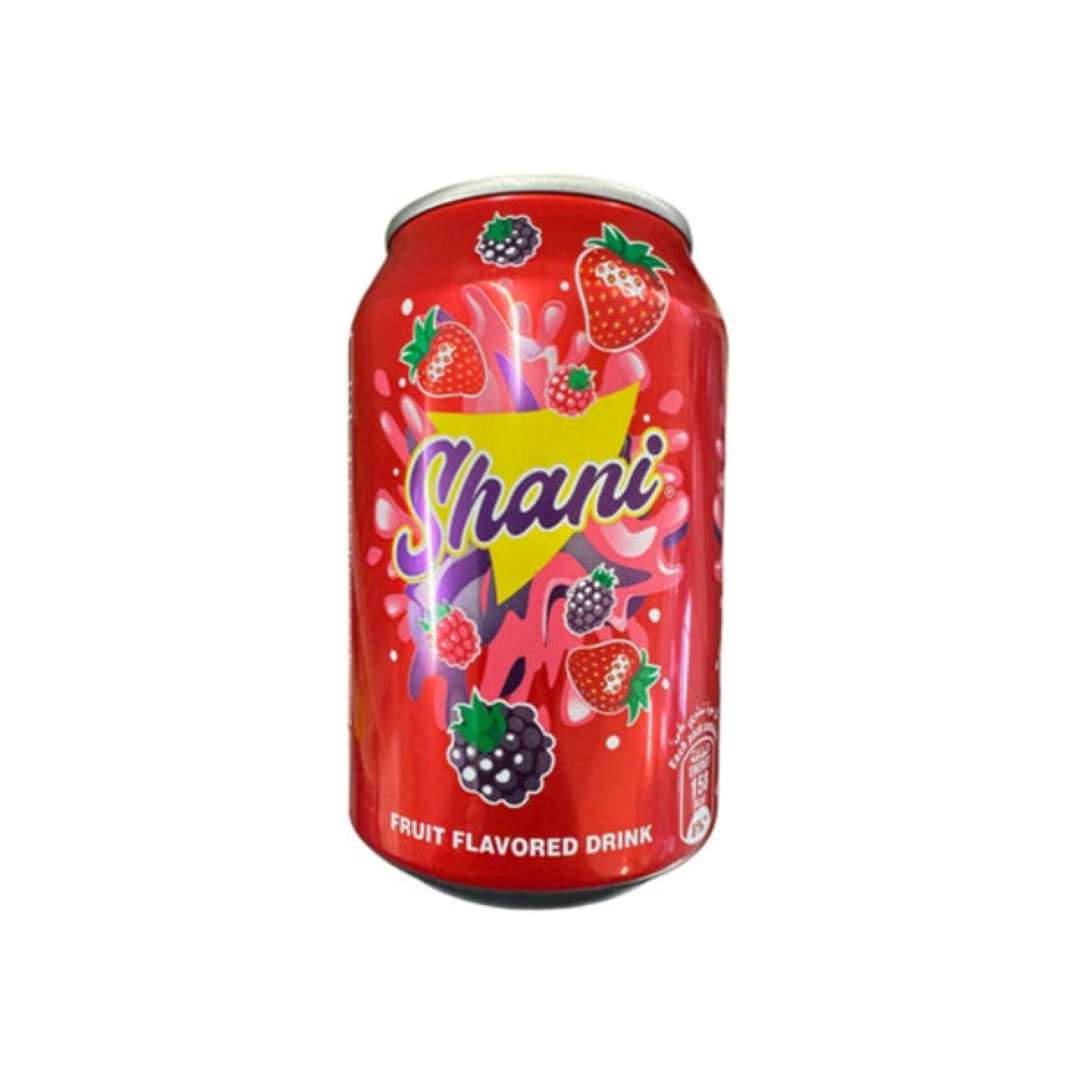 SHANI FRUIT FLAVOURED DRINK 300ML